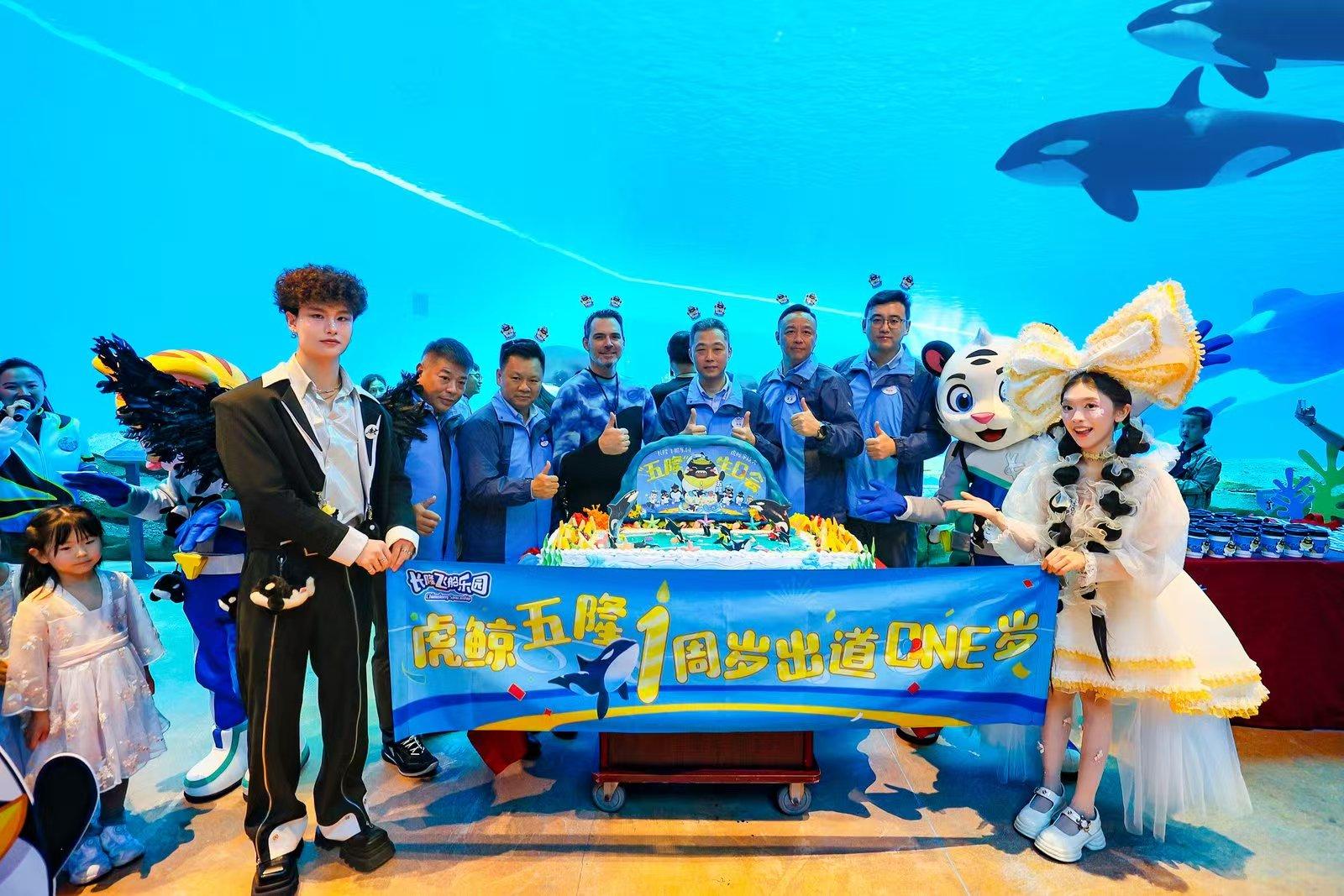 长隆飞船乐园虎鲸“五隆”一周岁了