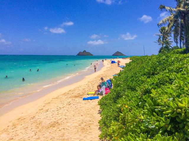 夏威夷海滩以细腻而温暖沙粒而闻名被誉为全球最美的海滩之一(图8)