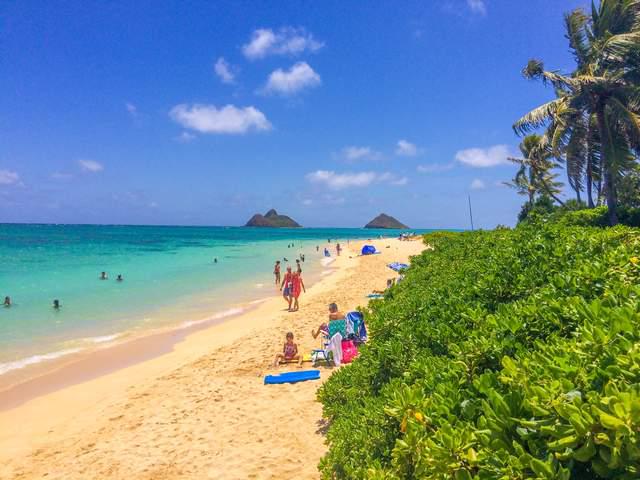 夏威夷海滩以细腻而温暖沙粒而闻名被誉为全球最美的海滩之一(图10)