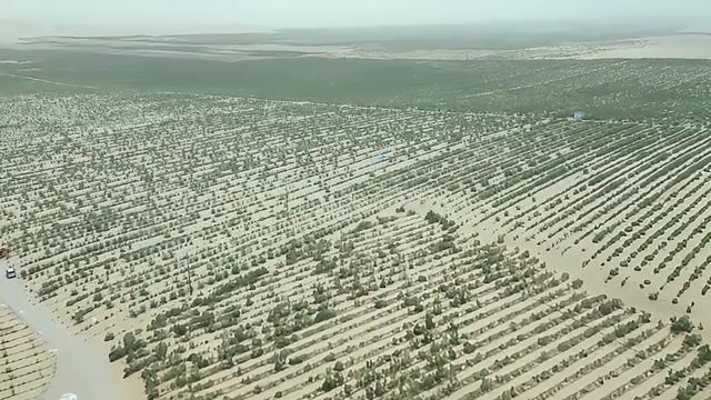 塔克拉玛干锁边是怎样做到的？意义是什么？(图6)