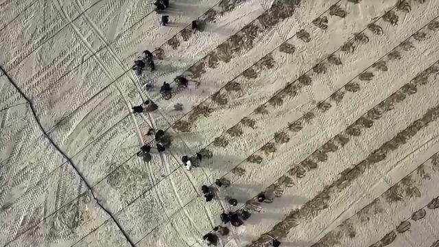 塔克拉玛干锁边是怎样做到的？意义是什么？(图12)