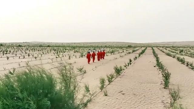 塔克拉玛干锁边是怎样做到的？意义是什么？(图8)