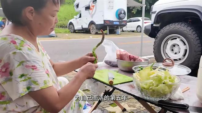 5年后再看60岁“自驾游阿姨”苏敏才彻底明白什么叫相由心生(图16)