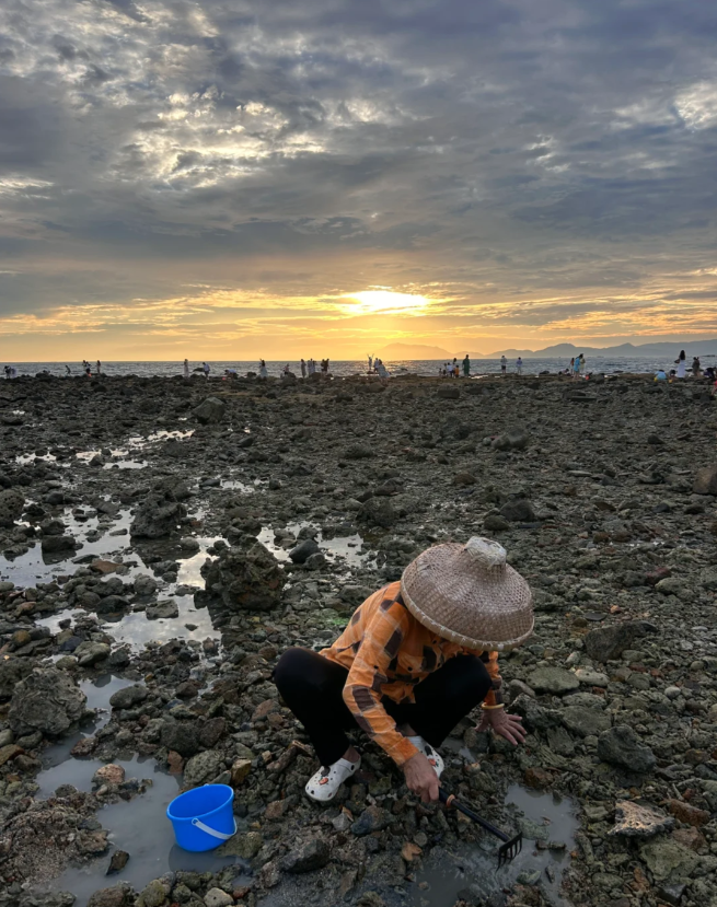 赶海、拾贝、追浪……这些宝藏渔村等你来打卡！(图10)