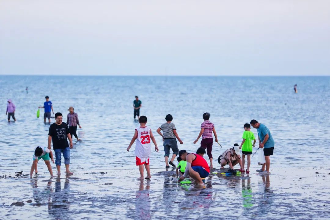 赶海、拾贝、追浪……这些宝藏渔村等你来打卡！(图13)
