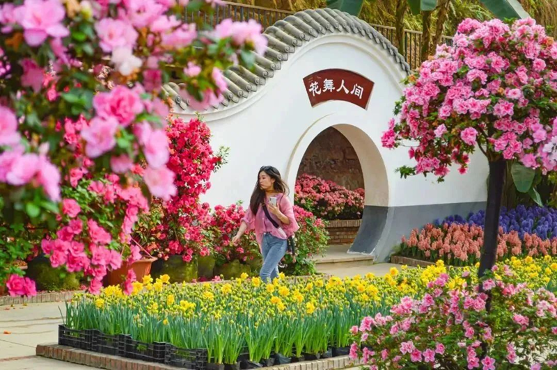 不负好春光！成都春季文旅地图活动线路全攻略上新(图2)