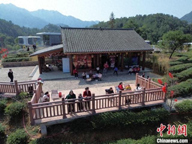 广西昭平县打造特色旅游新体验 茶山成广大茶农福祉