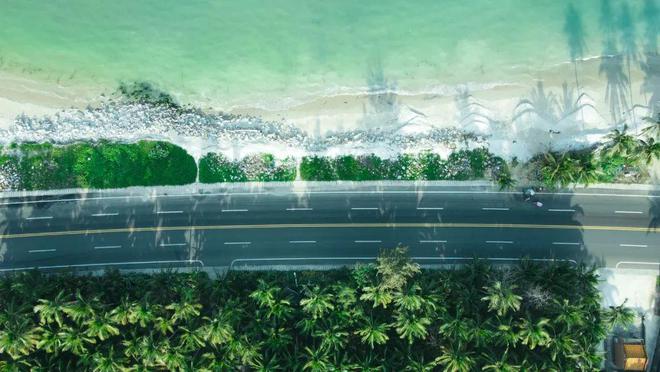 招募·海南｜去过N次海南只为这一半椰林一半大海的沿海公路！