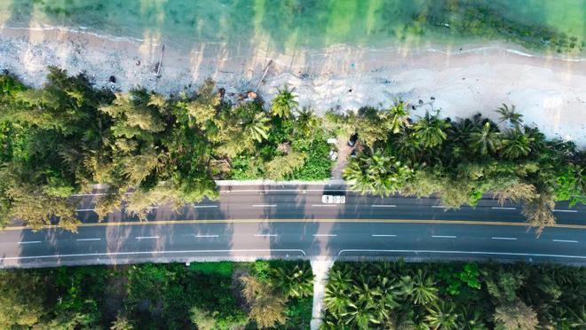 招募·海南｜去过N次海南只为这一半椰林一半大海的沿海公路！(图3)