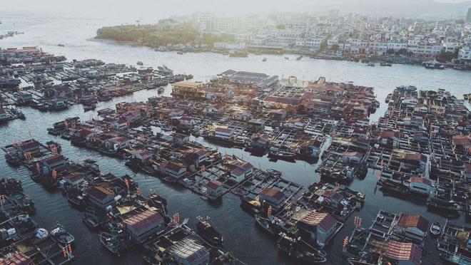招募·海南｜去过N次海南只为这一半椰林一半大海的沿海公路！(图9)