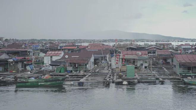 招募·海南｜去过N次海南只为这一半椰林一半大海的沿海公路！(图10)