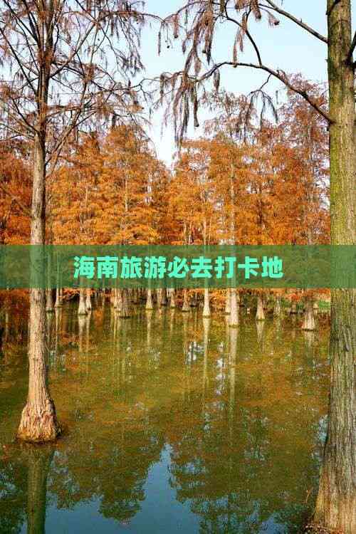 海南旅游必去打卡地(图5)
