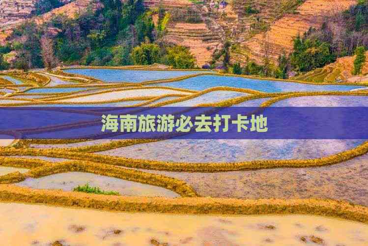 海南旅游必去打卡地(图6)