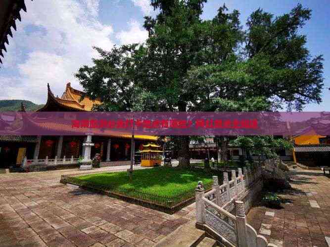 海南旅游必去打卡地(图12)