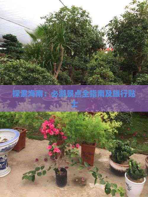 海南旅游必去打卡地(图13)