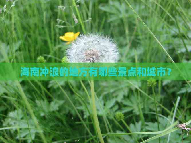 海南冲浪去哪玩好呢(图4)