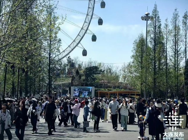 “五一”假期大连文旅市场热度创历史新高(图9)