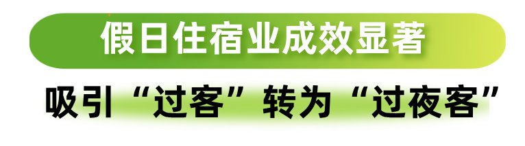 4289万人次万宁“五一”假期吸金275亿元！(图4)