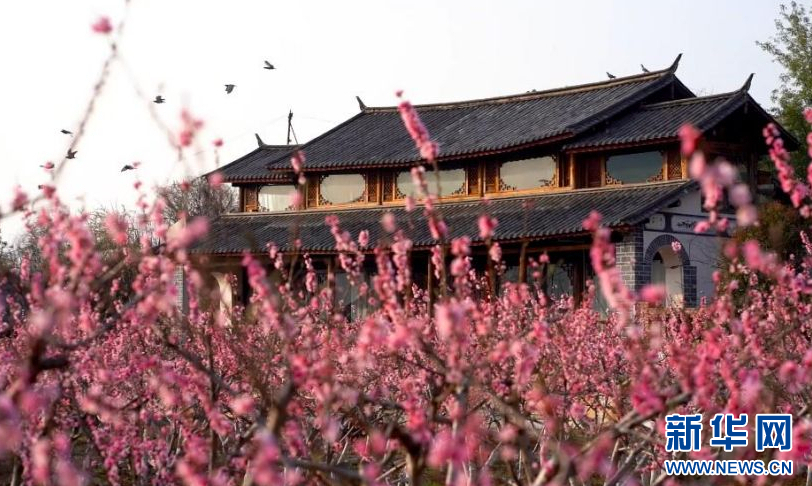 中国旅游日｜这一年你给云南旅游几“新”好评？_新华网(图13)