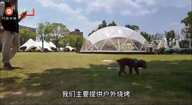宝山滨江定义“邮轮+微度假”的生活新方式(图8)