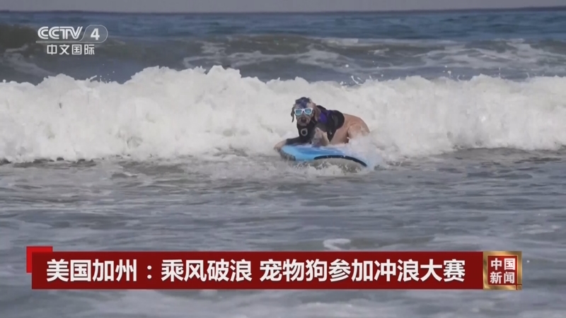 五一期间游客最密集的海滨打卡地出现了不在青岛也不在三亚(图1)