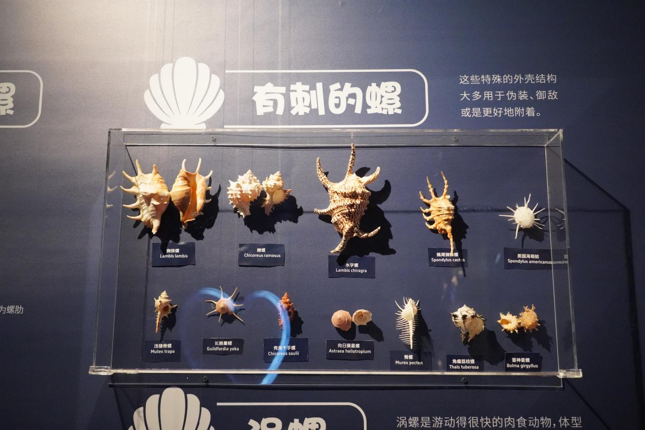 【视频】好热去海洋吧！解锁广东海岸线四大“好奇心课堂”(图2)