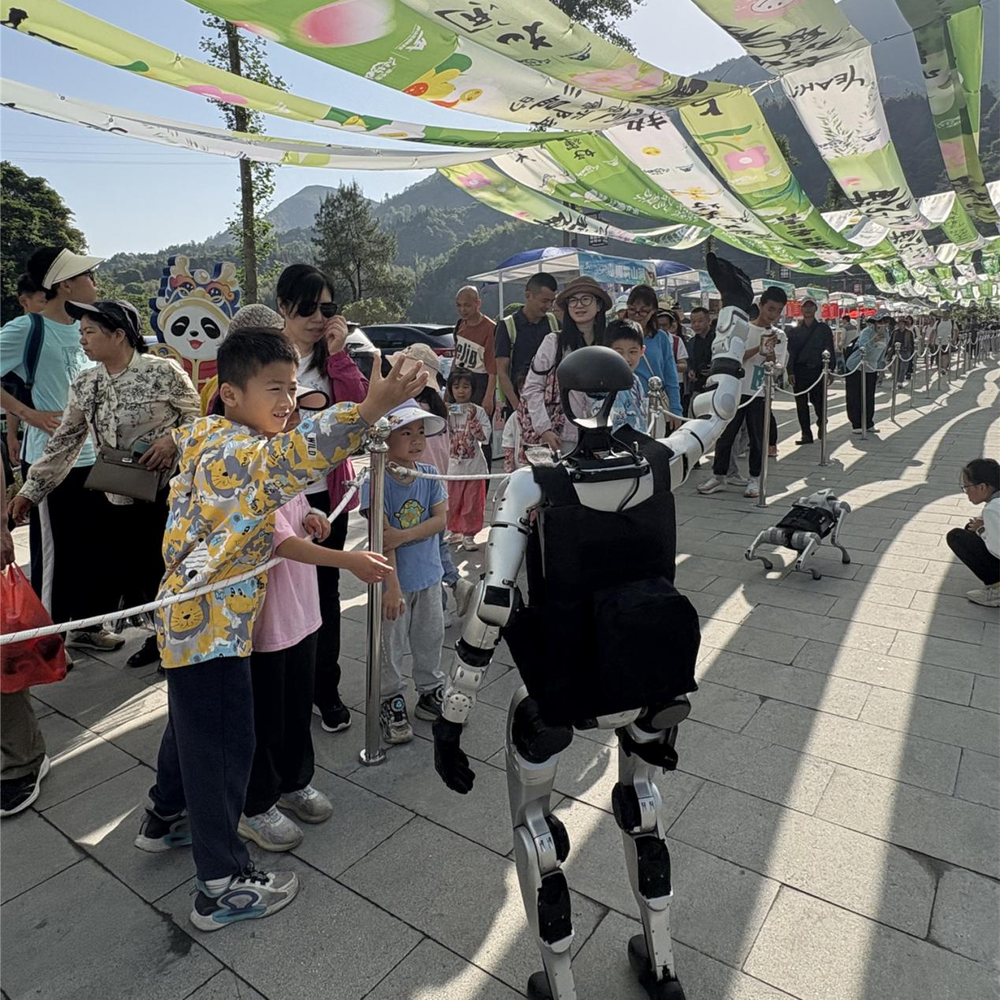 来湖南宜章莽山 体验22℃自然清凉游的夏天(图1)