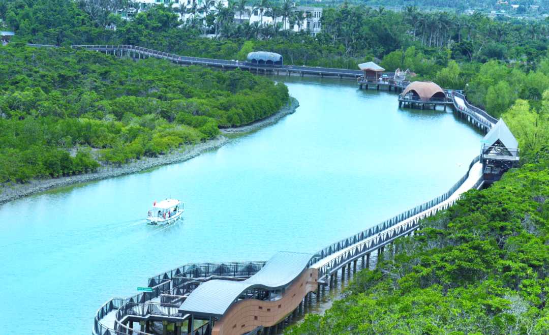 2025长三角文旅大咖海南深度体验之旅启动 苏琼共绘自驾文旅新蓝图(图6)