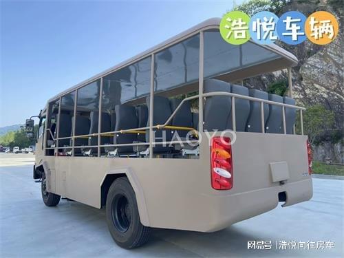 沙漠冲浪车：一场肾上腺素飙升的奇幻之旅(图2)