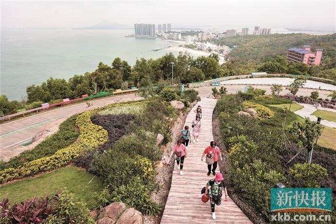 阳江市阳西县沙扒镇：聚力牧海耕田 打造诗意沙扒(图7)