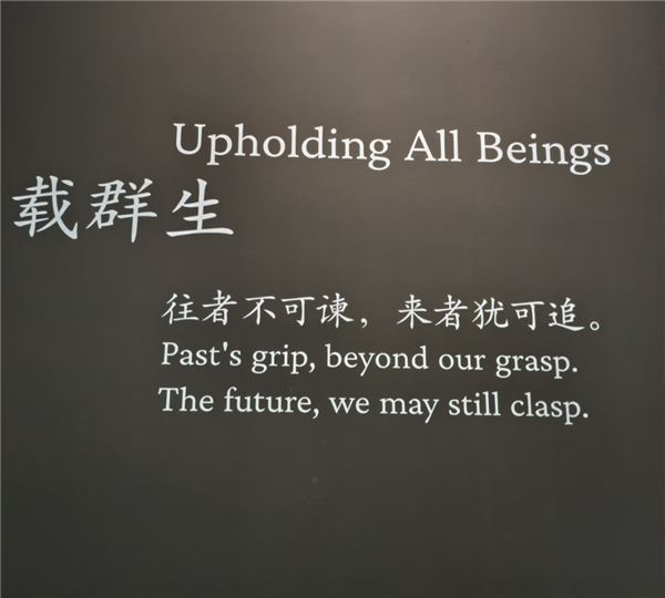 全球最大成人网站OnlyFans卖身了 原来只值这个价(图10)