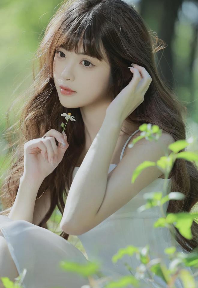 芳草萋萋鹦鹉在线免费观看(图1)
