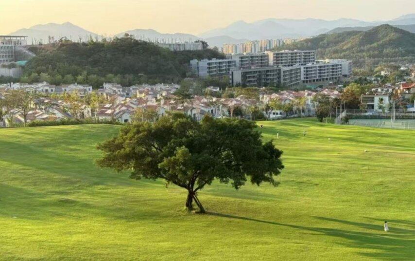 谁在三亚过夏天？(图2)