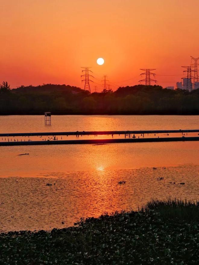Go夜！快看蔡甸夏夜快乐指南(图16)