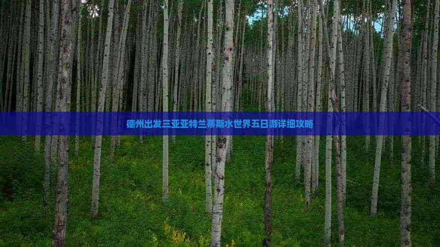 德州出发三亚亚特兰蒂斯水世界五日游详细攻略(图1)