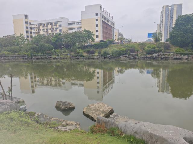2025广西·桂林（临桂）东盟城市龙舟邀请赛开赛在即这份观赏指南请查收！(图2)