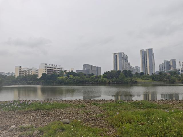 2025广西·桂林（临桂）东盟城市龙舟邀请赛开赛在即这份观赏指南请查收！(图4)