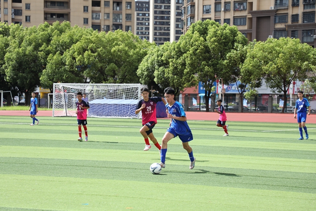 半小时报满！霞浦凭啥成全国游泳赛唯一县级承办地？(图6)