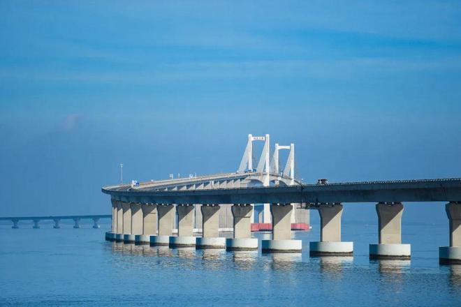 定了张朝阳将挑战横渡南澳岛8公里！(图2)