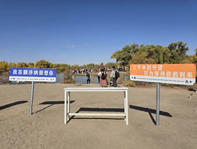 额济纳旗胡杨林景区攻略：旅行社、十个必去景点、观赏时间大揭秘(图5)