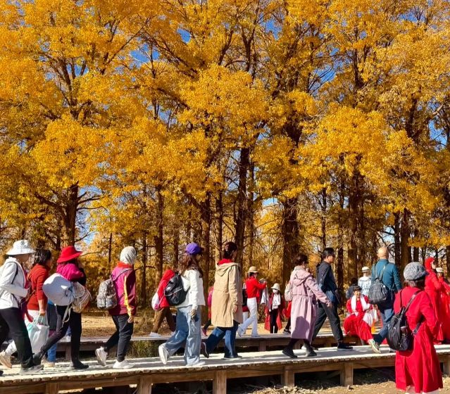 额济纳旗胡杨林景区攻略：旅行社、十个必去景点、观赏时间大揭秘(图3)