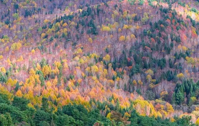 最适合老年人开车自驾的10条秋游路线路况好风景美！(图6)