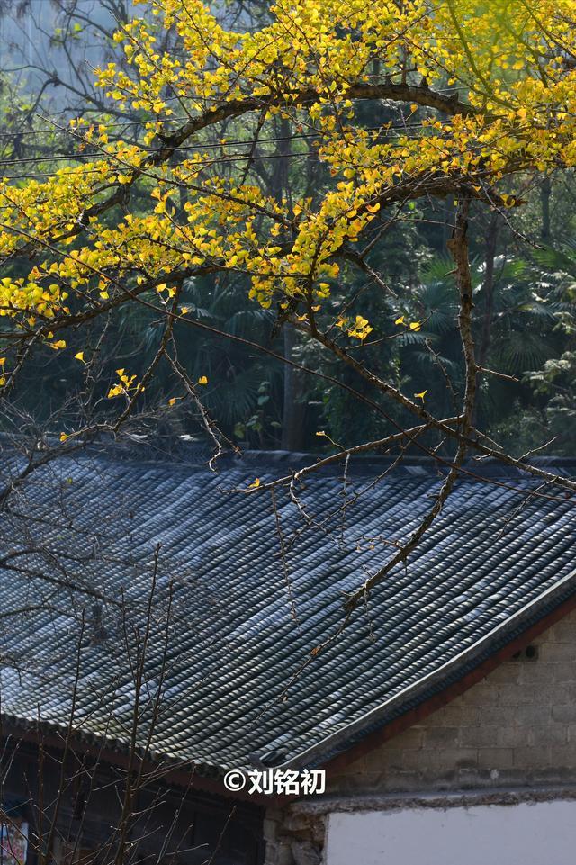 最适合老年人开车自驾的10条秋游路线路况好风景美！(图17)