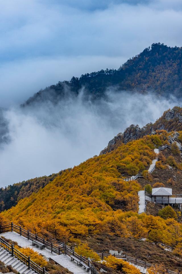 最适合老年人开车自驾的10条秋游路线路况好风景美！(图27)