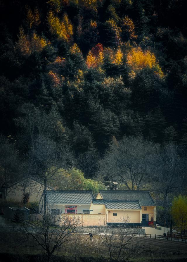 最适合老年人开车自驾的10条秋游路线路况好风景美！(图26)