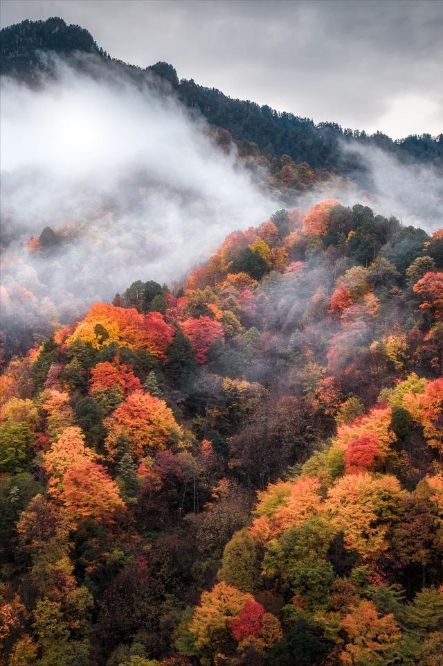 最适合老年人开车自驾的10条秋游路线路况好风景美！(图28)