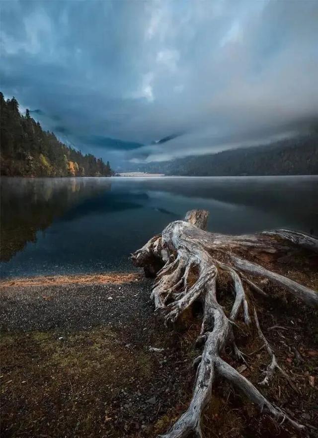 最适合老年人开车自驾的10条秋游路线路况好风景美！(图32)