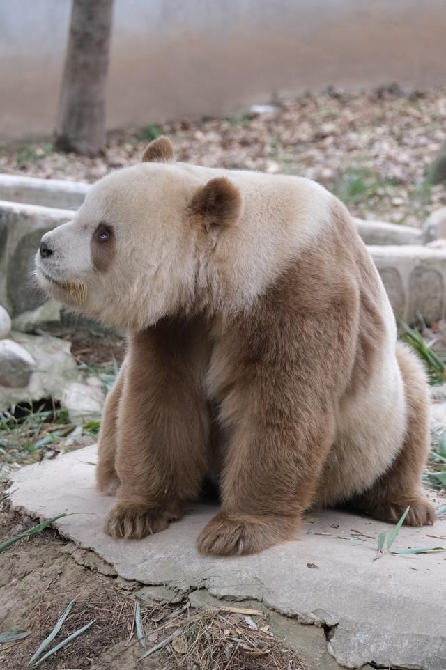 最适合老年人开车自驾的10条秋游路线路况好风景美！(图29)
