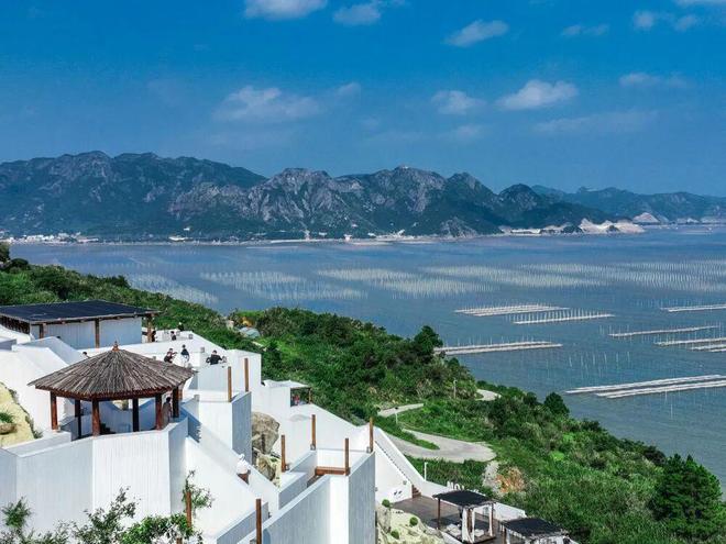 这几天苍南又火了！(图4)