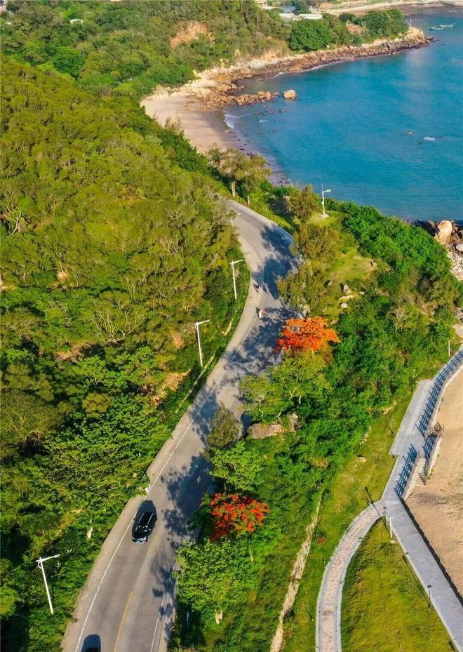 播放量超50亿次南澳岛成为无数人心中的 “诗和远方”。(图5)